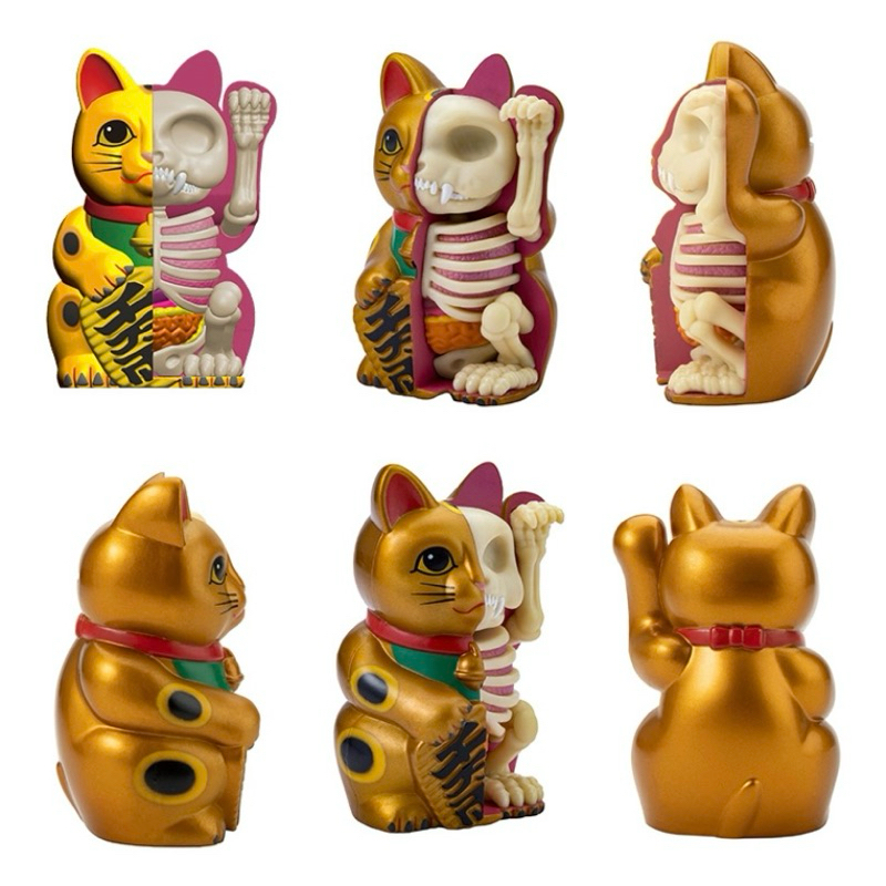 4D Master - Fortune Cat Anatomy มี3สี!!