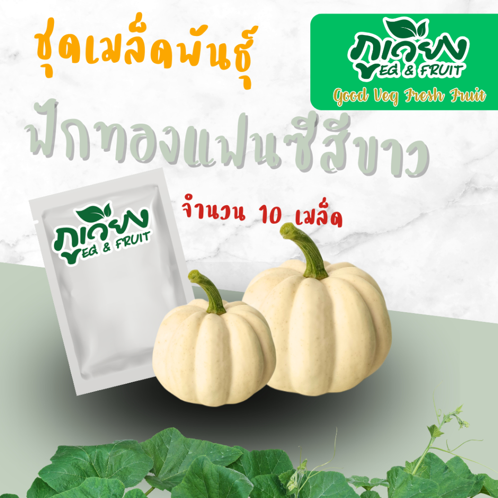 เมล็ดฟักทองแฟนซีสีขาว ซอง 10 เมล็ด