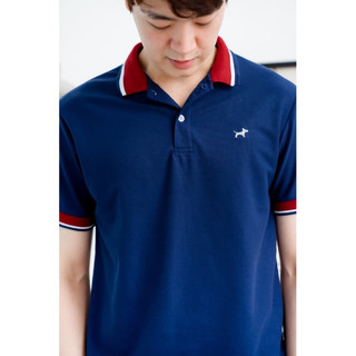 เสื้อโปโล Bulltus Brand รอบอก 38-60นิ้ว