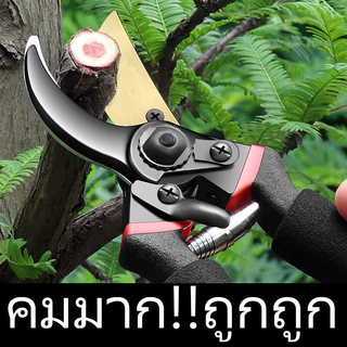 ✄จัดส่งที่รวดเร็ว✄ SK5 กรรไกรแต่งกิ่ง กรรไกรสแตนเลส กรรไกรสำหรับตัดแต่งกิ่งไม้ ดอกไม้ เครื่องมือจัดทำสวน