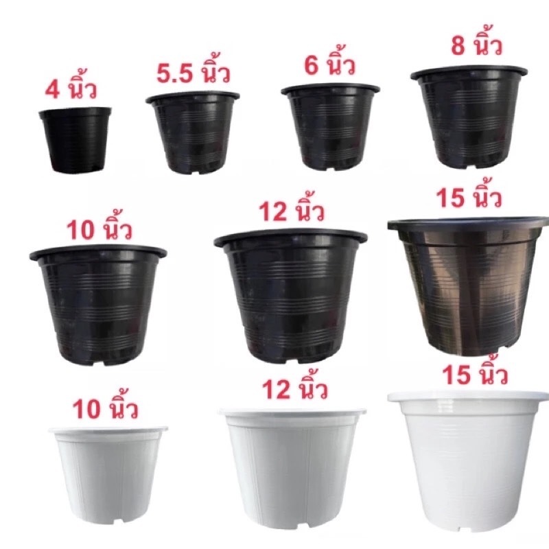 พร้อมส่ง กระถางต้นไม้พลาสติกสีดำ 4 นิ้ว 5.5 นิ้ว 6 นิ้ว 8 นิ้ว 10 นิ้ว