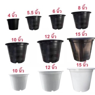 พร้อมส่ง กระถางต้นไม้พลาสติกสีดำ 4 นิ้ว 5.5 นิ้ว 6 นิ้ว 8 นิ…