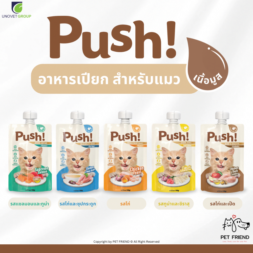 Push! 🐱 อาหารเปียกแมวแบบซองบีบ ผสมวิตามินในทุกซอง เนื้อมูสนุ่ม มีให้เลือกหลายรสชาติ 100 กรัม