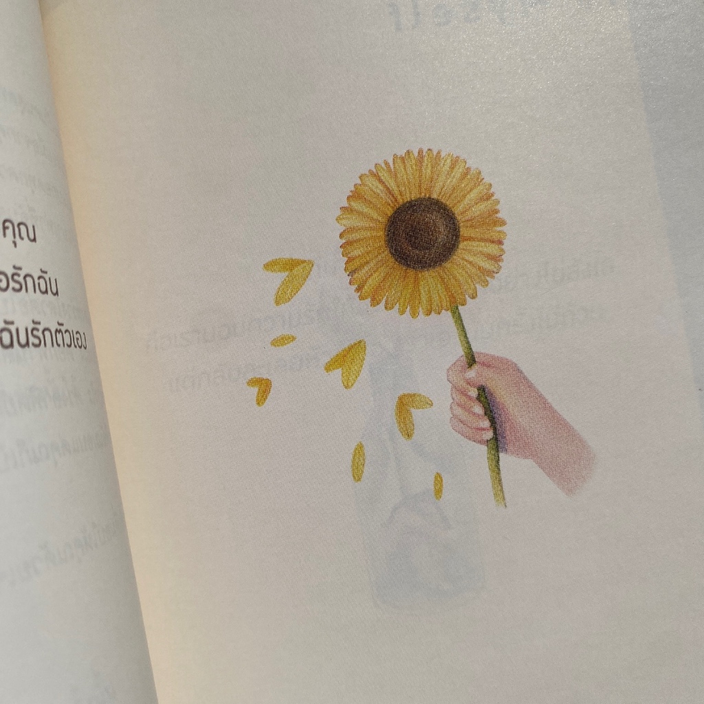 (✅ พร้อมส่ง+มีของแถม) จงเป็นดั่งดอกทานตะวันที่หันหาเพียงแสงอาทิตย์อยู่เสมอ - ปานตะวัน