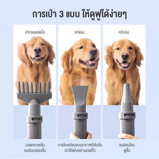 【พร้อมส่ง】อัตโนมัติเป่าขน การปรับอุณหภูมิจอแสดงผลLED กำลังสูงและความเร็วลมสูงเครื่องเป่าขนสัตว์เลี้ยงPet drying box