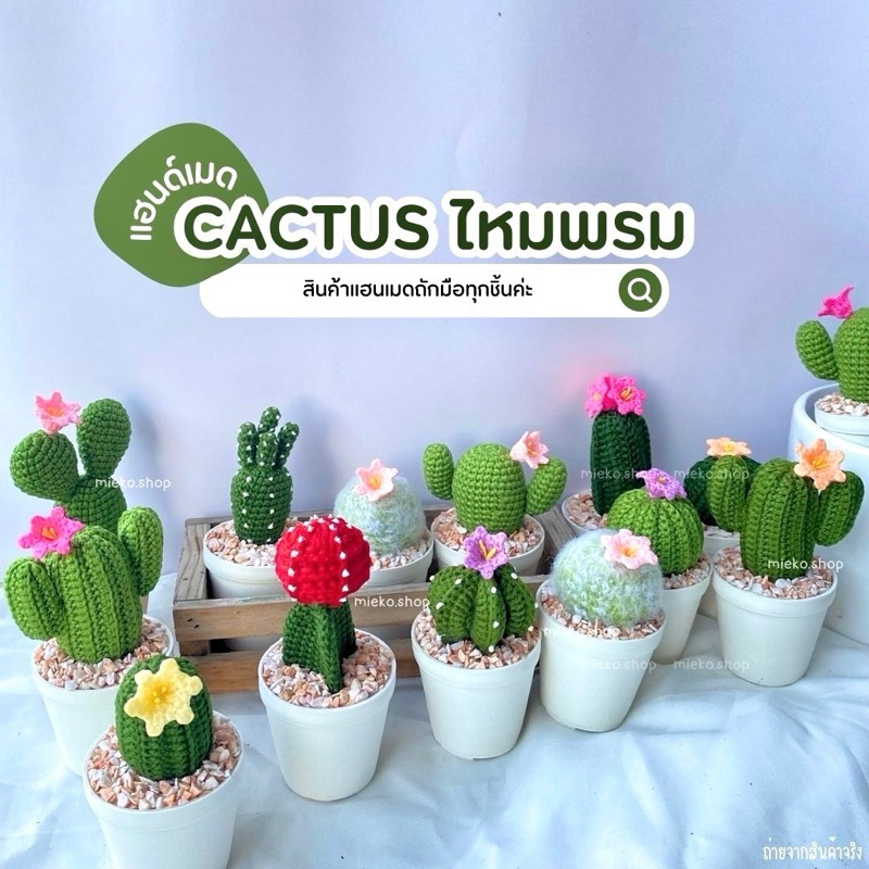 พร้อมส่ง |🌵cactus กระบองเพชรไหมพรม กระถาง 2.5 นิ้ว ราคาต่อ 1 ชิ้น งานไหมพรมถักมือ ของชำร่วย งานฝีมือ ของขวัญ