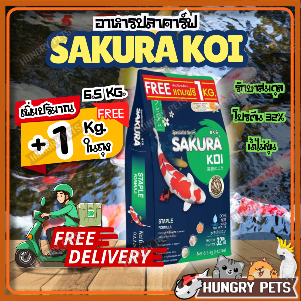 💥ส่งฟรี ❗ อาหารปลาคาร์ฟซากุระโค่ย (Sakura Koi) 🟢สูตรรักษาสมดุลปลา🟢 ให้ได้ทุกวัน ขนาด 6.5 กก.