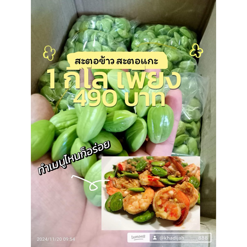 สะตอแกะ 1 กิโลกรัม  เกรด A รายใหญ่ มีออเดอร์ทุกวัน ขัดเลือกเม็ดใหญ่ๆ ที่ดีที่สุด 💯💯💯💯