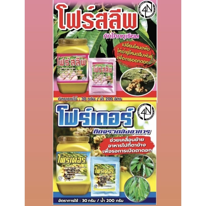 คู่หูสะสมอาหาร+เปิดตาดอก โฟร์สลีฟ+โฟร์เดอร์