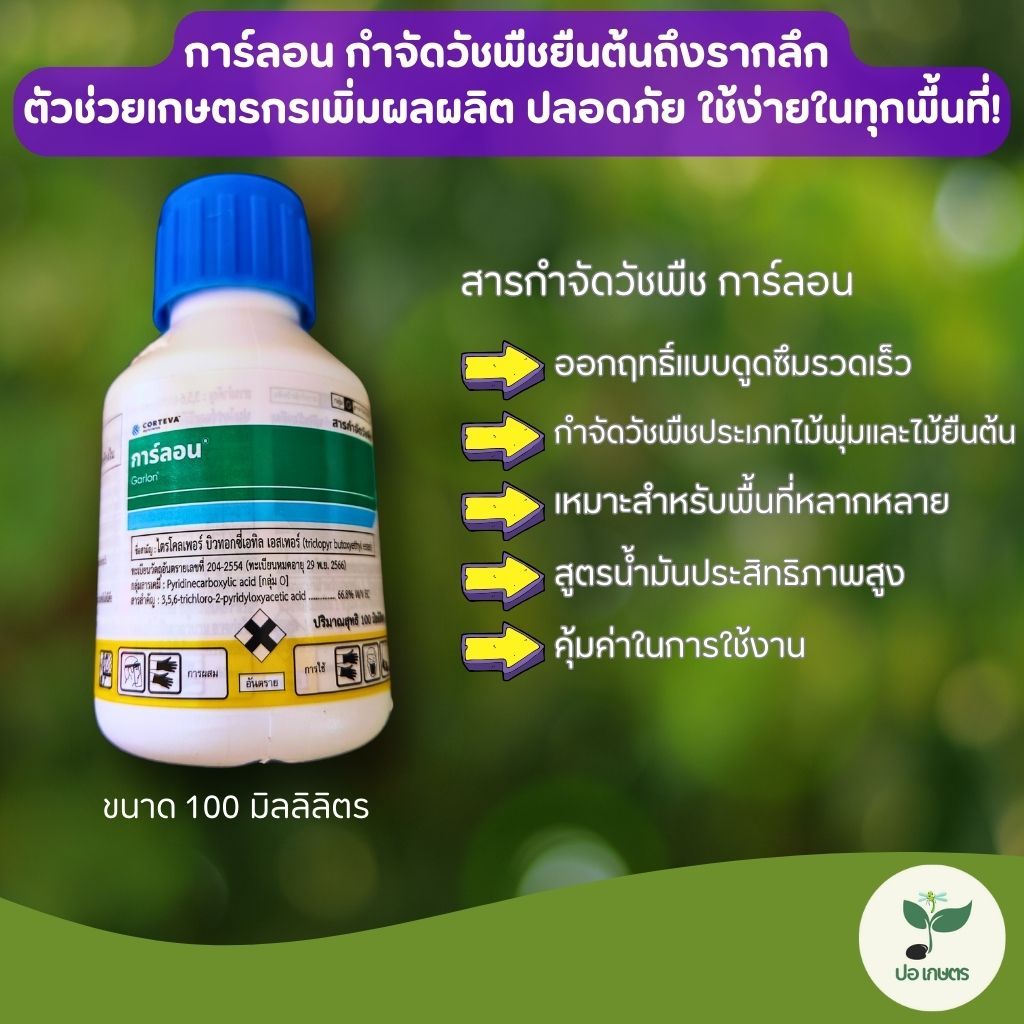 การ์ลอน (100 มล.) กำจัดวัชพืชหลากหลายชนิด ออกฤทธิ์เร็ว ปลอดภัยต่อพืชหลัก ประหยัดเวลาและค่าใช้จ่าย