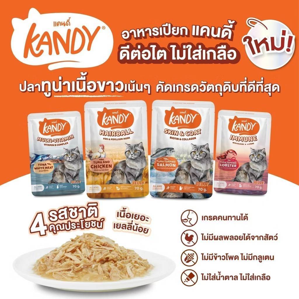 😻 Kandy Kandy อาหารเปียกแมว แคนดี้ ขนาดซองละ 70 กรัม [แบบลัง 48ซอง] - รูปที่ 2