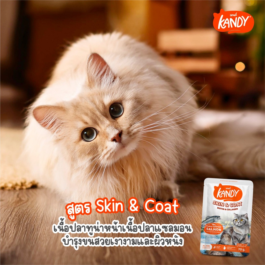 😻 Kandy Kandy อาหารเปียกแมว แคนดี้ ขนาดซองละ 70 กรัม [แบบลัง 48ซอง] - รูปที่ 6