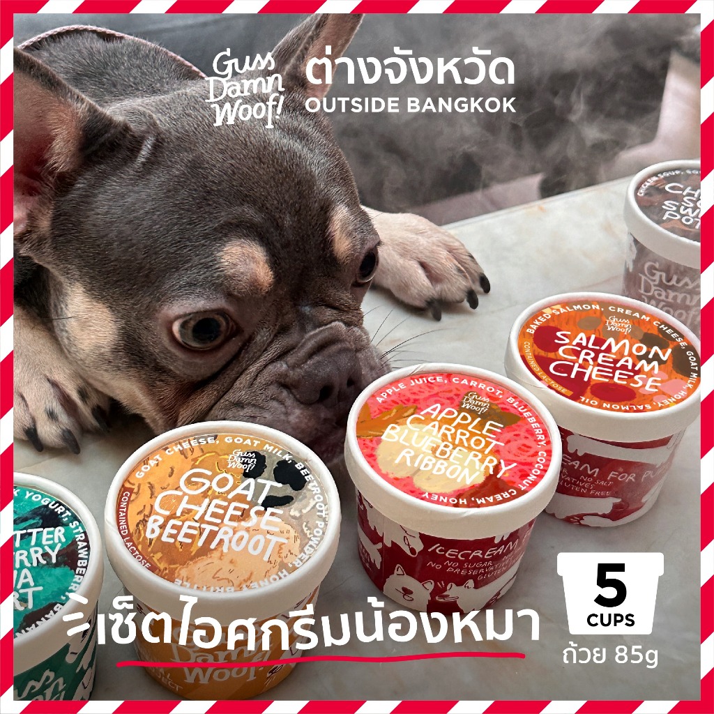 [พร้อมส่ง ตจว.] เซ็ตไอศกรีมหมา 5 ถ้วย คละรสได้ (85g) - GussDamnWoof (ไอติม/ขนมสุนัข)
