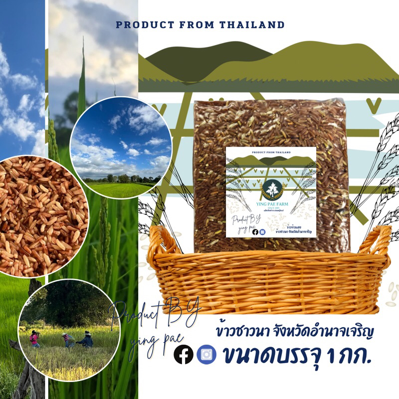 SALE ข้าวหอมมะลิแดงปี66 ข้าวกล้องแดง ข้าวชาวนา จังหวัดอำนาจเจริญ ขนาดบรรจุ 1 กก