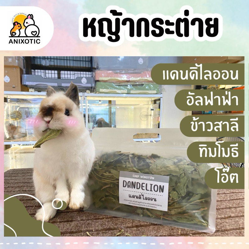 หญ้าแห้งกระต่าย หญ้ารวม แดนดิไลออน ข้าวสาลี โอ๊ต