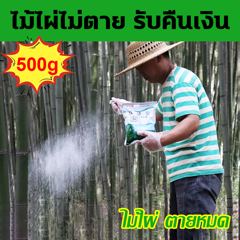 ได้ผลจริงไม่ได้ผลคืนเงิน สารกำจัดก่อไผ่ ผงกำจัดกอไผ่ ยาฆ่ากอไผ่ ยาฆ่าต้นไผ่ สามารถฆ่ากอไผ่ตายยันราก