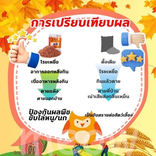 【100% ได้ผล】100g/500g ยากำจัดนกพิราบ ยาเบื่อนก ไล่นก ก้อนไล่นก กำจัดนก เหยื่อกำจัดนกพิราบ เบื่อนกพิราบ ยาฆ่านกพิราบ
