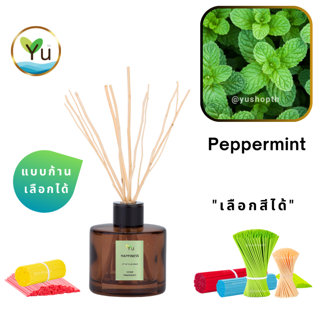 🌟 กลิ่น Peppermint | Room Diffuser ก้านไม้หอม : กลิ่นหอมเย็นสดชื่นมาก หอมเย็นปลอดโปล่งโล่งสบาย | 50 ml.