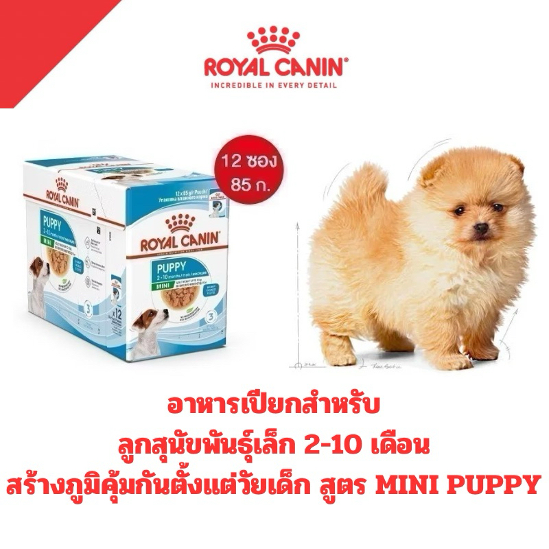 [ 1โหล ] Royal Canin Mini Puppy อาหารเปียก Gravy ลูกสุนัขพันธุ์เล็ก [ 1โหล ]