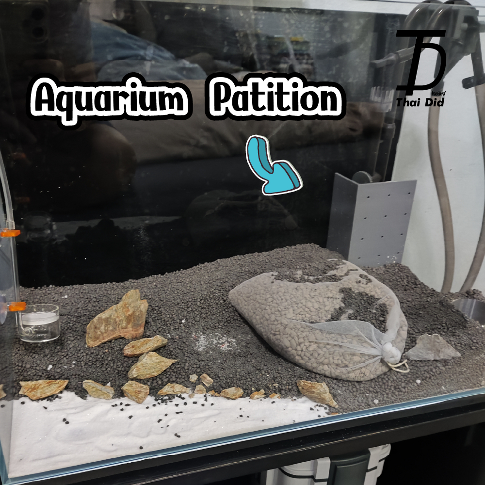 Aquarium Patition สำหรับกันดินเข้ากรองนอกตู้ปลา