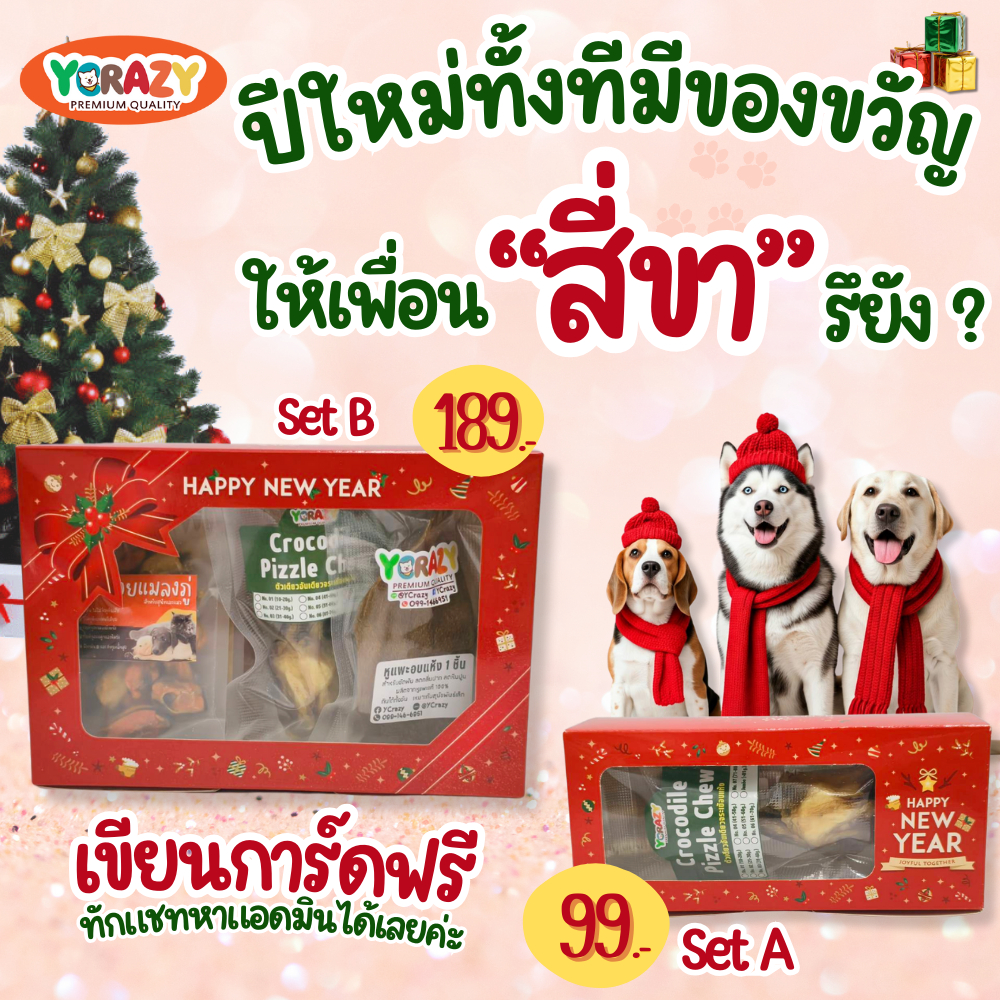 [ของขวัญปีใหม่] เซ็ตของขวัญสำหรับสุนัข จาก YCrazy ของขวัญปีใหม่ ของขวัญวันเกิด ของขวัญหมา