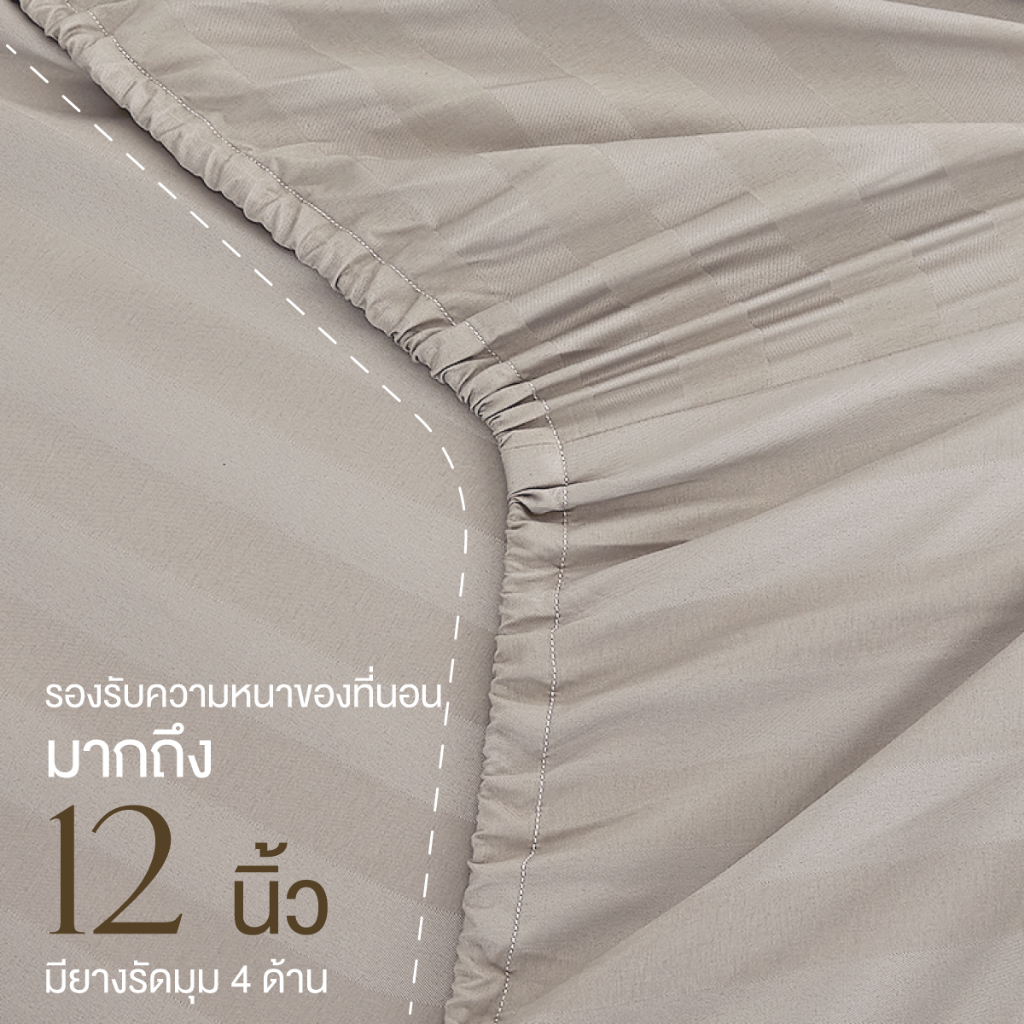 ibed ชุดผ้าปูที่นอนทอลายครบเซ็ท Softex Satin (ทอลายริ้ว) Latte milk 3.5 ฟุต,5 ฟุต,6 ฟุต - STRIPED COLLECTION - รูปที่ 3