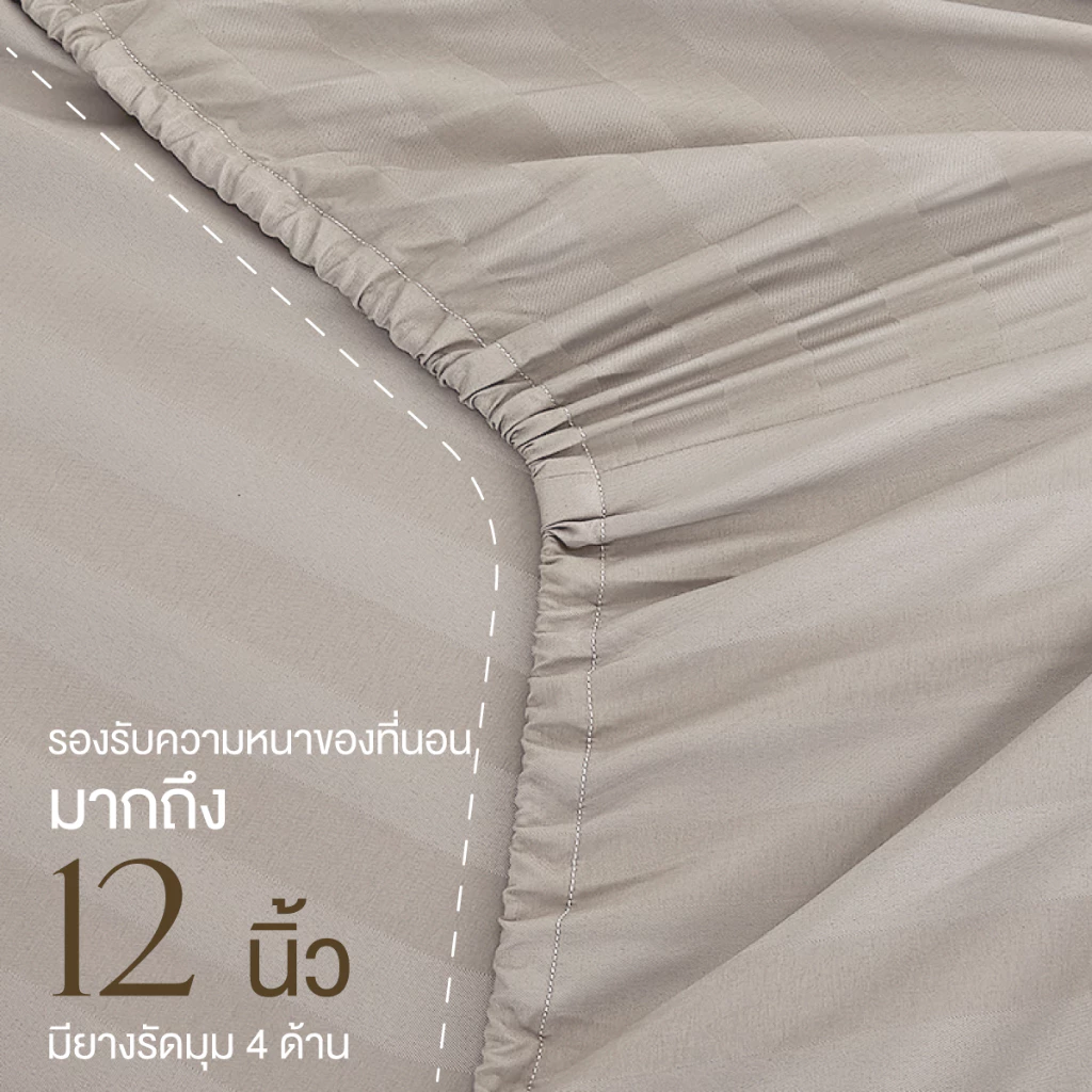 ibed ชุดผ้าปูที่นอนทอลายครบเซ็ท Softex Satin (ทอลายริ้ว) Latte milk - STRIPED COLLECTION thumbnail 6