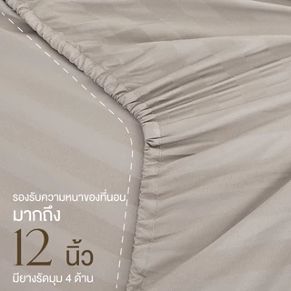 ibed ชุดผ้าปูที่นอนทอลายครบเซ็ท Softex Satin (ทอลายริ้ว) Latte milk - STRIPED COLLECTION