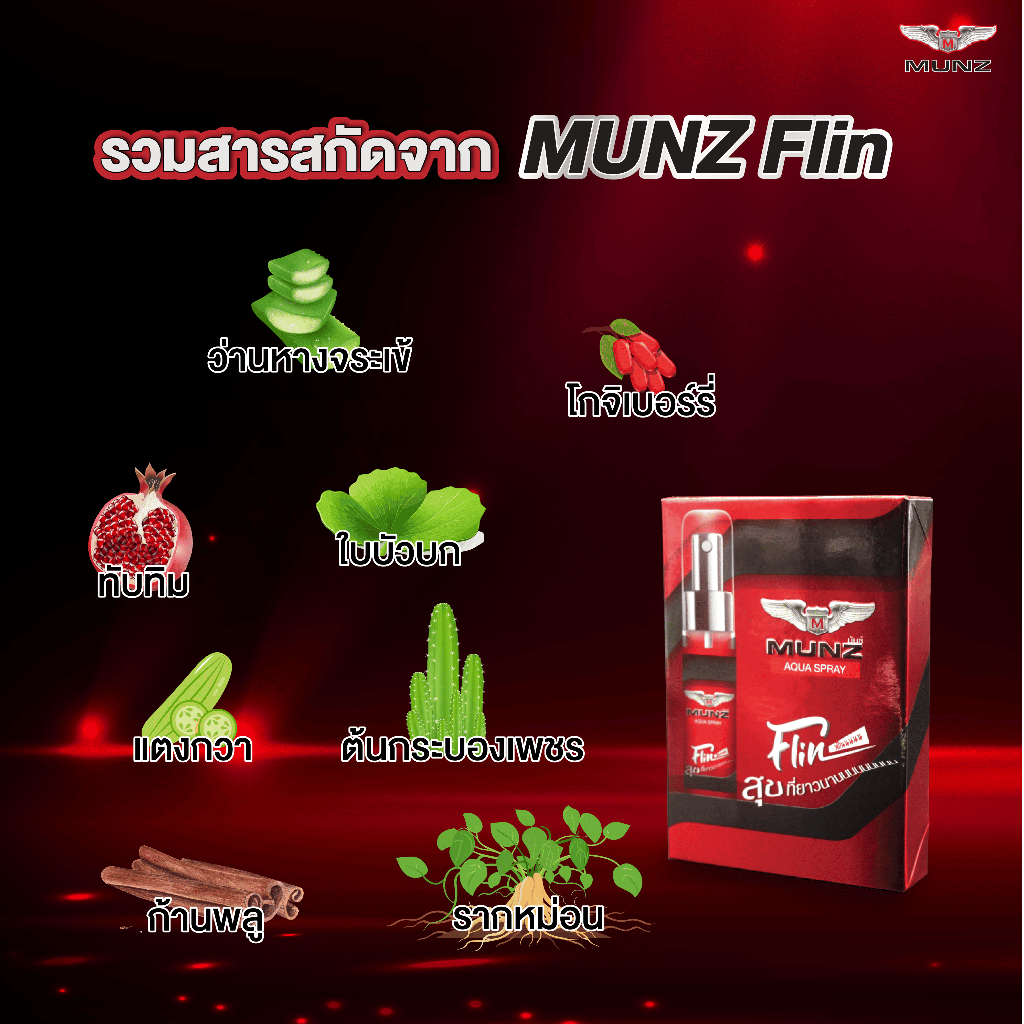 รูปภาพ 5