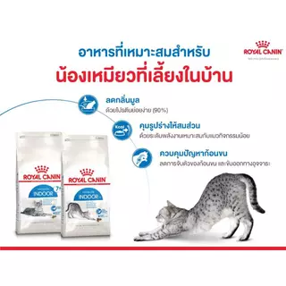 Royal Canin Indoor 4 kg. อาหารแมวแบบเม็ดสำหรับแมวโตอายุ 1-10 ปี ที่เลี้ยงในบ้าน หมดอายุปี 2027