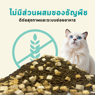 Bite of Wild อาหารแมว P42 1kg Holistic Grain free ส่วนผสมจากสัตว์ 42% ผสมฟรีซดราย 3 ชนิด สำหรับทุกวัย
