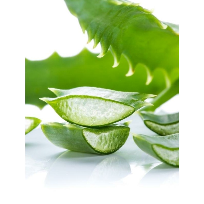 น้ำว่านหางจระเข้สกัด 1 ลิตร ไม่มีน้ำตาล ธรรมชาติ 100% Distilled Aloe Vera Water 1 Liter Hydrosol