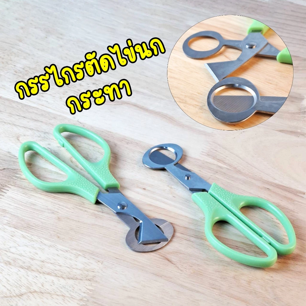กรรไกรตัดเปลือกไข่นกกระทา กรรไกรสแตนเลสตัดเปลือกไข่