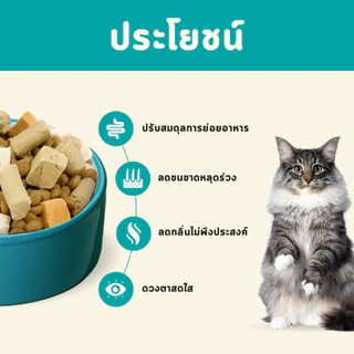 Bite of Wild อาหารแมวพรีเมียม 1 กก. ปราศจากธัญพืช ช่วยให้ขนเงางาม ย่อยง่าย สำหรับทุกวัย