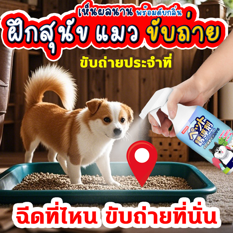 ขับถ่ายประจำที่❗❗❗ ฝึกฉี่สุนัข ฝึกแมวฉี่ ฝึกฉี่ ฝึกสุนัขฉี่ สเปรย์ฝึกสุนัขขับถ่าย  สเปรย์ฝึกการขับถ่าย