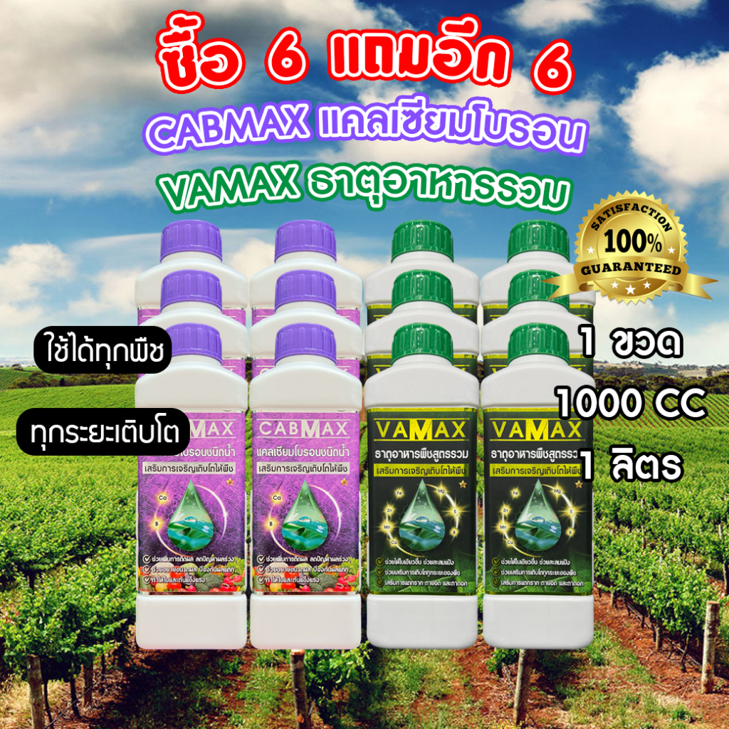 ซื้อ 6 แถม 6 CABMAX แคลเซียมและโบรอนเข้มข้น + VAMAX ธาตุอาหารรวมเข้มข้น (C6+V6+เสื้อ)