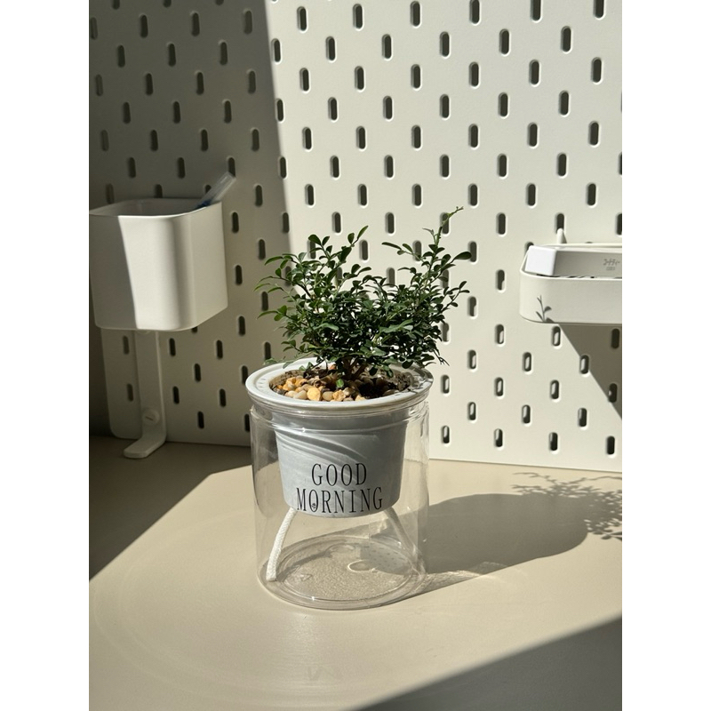 มุมมอง 4