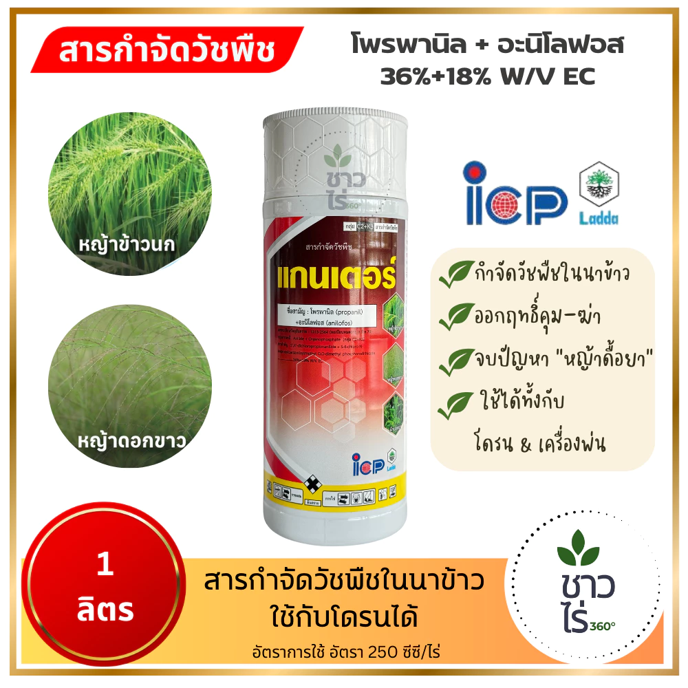 แกนเตอร์ 1 ลิตร *ส่งฟรี* ตราไอซีพีลัดดา โพรพานิล+อะนิโลฟอส กำจัดวัชพืชในนาข้าวช่วงคุมฆ่า ใบแคบ ใบกว้าง กก หญ้าดื้อยา