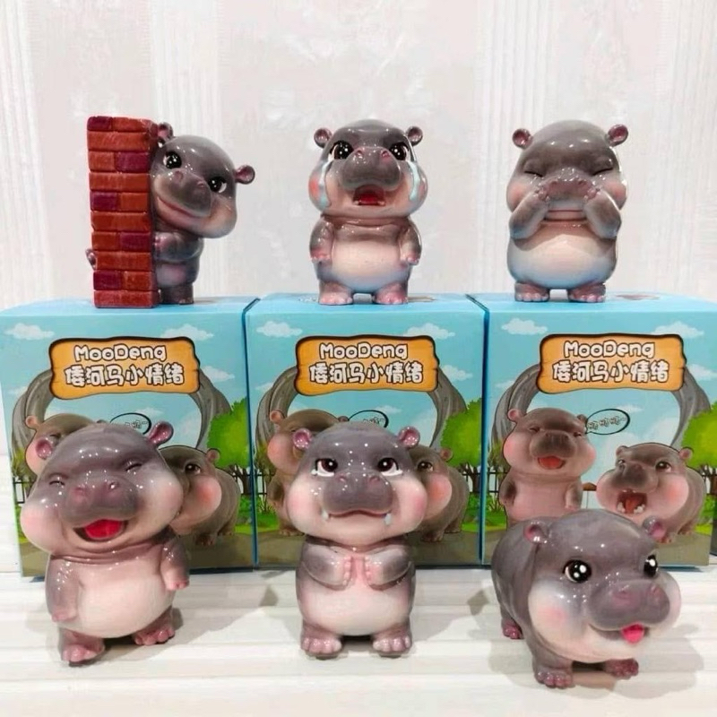 กล่องจุ่มโมเดลหมูเด้ง กล่องใหญ่ 1 จุ่ม