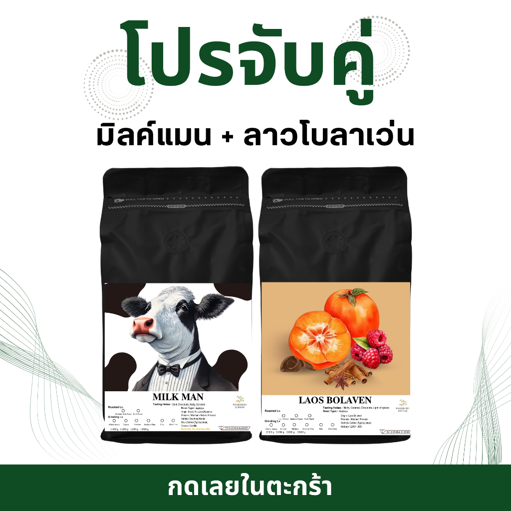 จับคู่เมล็ดกาแฟคั่วเข้ม Laos Bolaven Grade A Premium x Milk Man เบลนด์ จากโรงคั่ว Pangkhon roaster