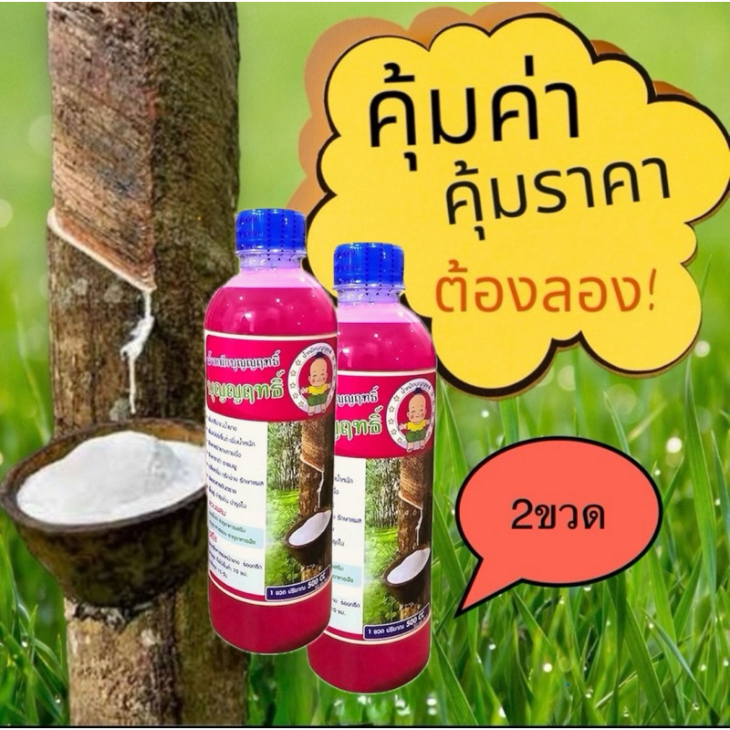 บุญญฤทธิ์ 2ขวด เพิ่มปริมาณน้ำยางพารา เปลือกนิ่ม กรีดง่าย