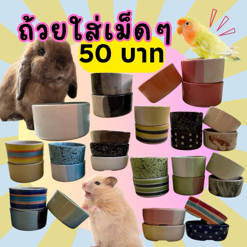 ถ้วยเซรามิก(ขนาดกลาง) ถ้วยอาหารกระต่าย แฮม นก กระรอก