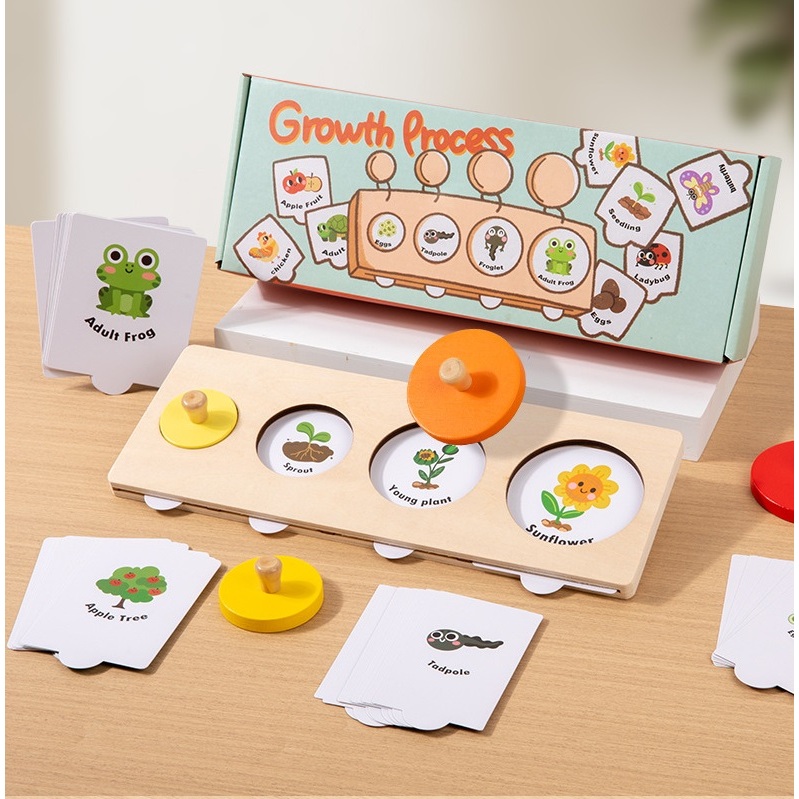 Montessori Growth Pair วงจรชีวิตสัตว์ พืช บอร์ดเรียนรู้ชีวิตสัตว์ Animal / Plant Life Cycle