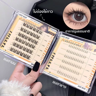 ซีรีส์ 12 ราศี ขนตาปลอม ขนตาบน ขนตาล่าง ไม่ต้องใช้กาว มีกาวในตัว ขยายตา ติดทน 30/36 ช่อ/กล่อง