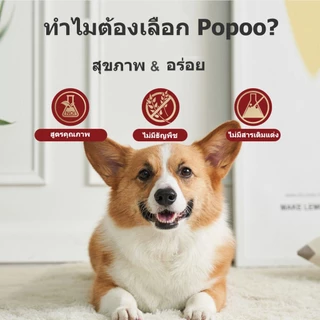 Popoo Aller-Immune Bites for Dogs Seasonal Allergies ขนมสุนัข อาหารเสริมสุนัข ผิวหนังและขน เสริมสร้างภูมิคุ้มกัน 120ชิ้น