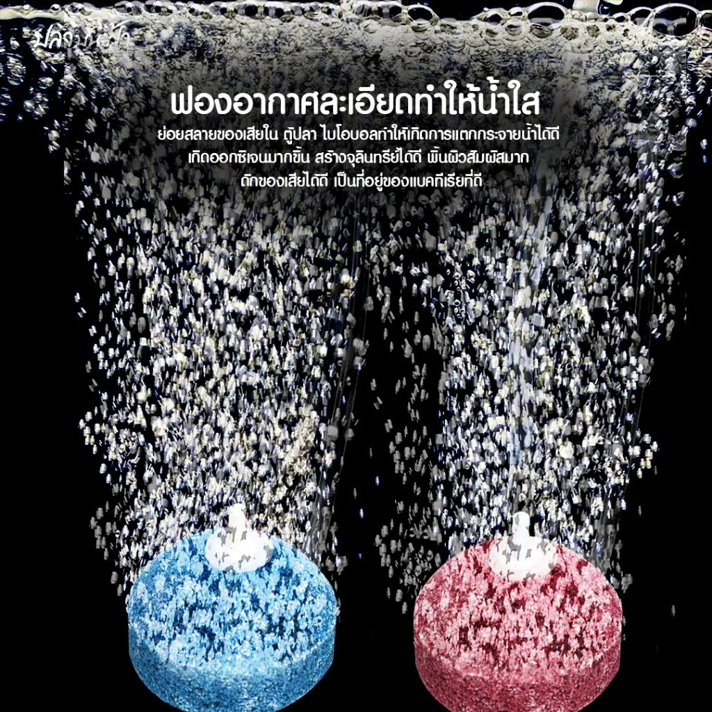 หัวทรายเพิ่มออกซิเจนสำหรับตู้ปลา ตู้กุ้ง สัตว์น้ำทุกชนิด ฟองแรง ออกทุกรู ฟองไม่ใหญ่เกินไป ปลาไม่ตกใจ thumbnail 4