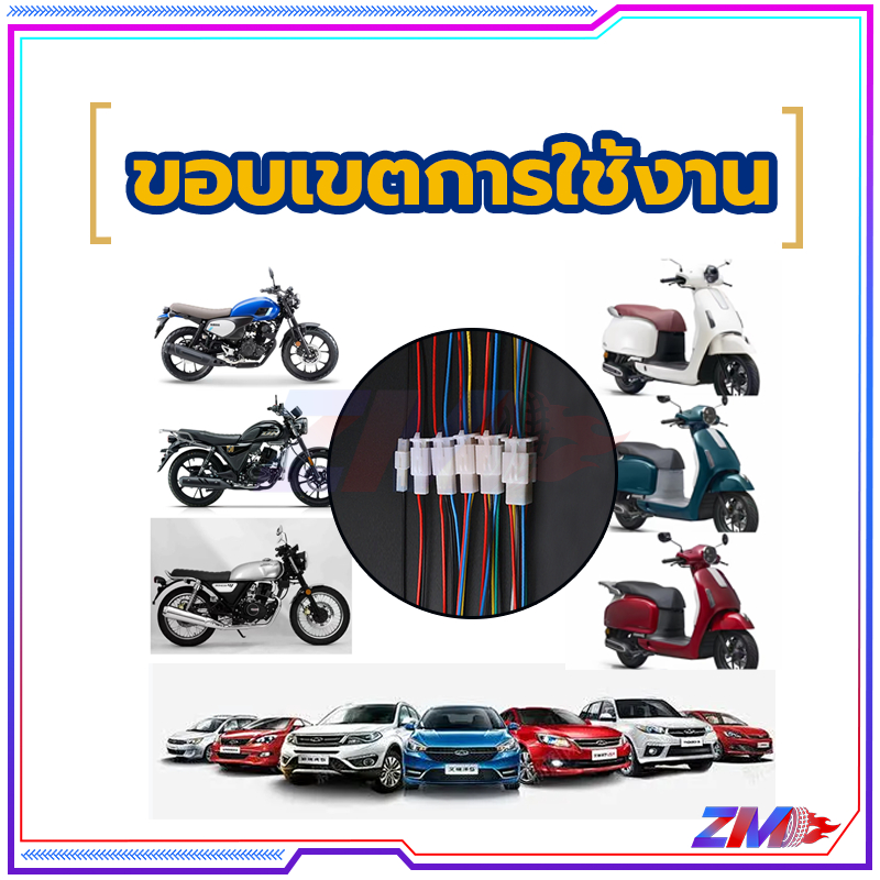 รูปภาพ 8