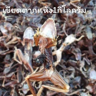 เขียดแห้งเกรดA อำเภอธาตุพนม เขียดอีโม่ เขียดสำหรับทอดหรือปิ้ง ของแซ่บอีสาน หนัก100กรัม