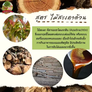 น้ำส้มควันไม้ 1000ml. จากไม้สะเดาแท้100% ดับกลิ่น ไล่แมลงศัตรูพืช เห็บ หมัด ไร เชื้อรา **หยกเพชรฟาร์ม**