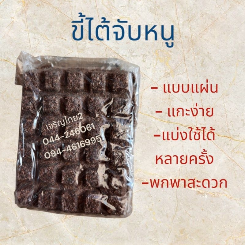 ขี้ไต้ สำหรับจับหนู แบบแผ่น (จำนวน 1แผ่น)